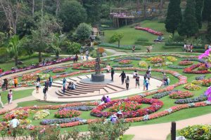 para-turis-sedang-menikmati-taman-bunga-doitung-royal-garden-jpg-57ad4208f19673320cc515c7