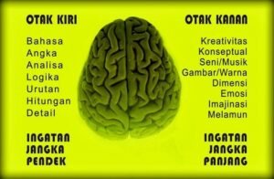 Cara Kerja Otak Pria dan Wanita Dalam Melihat Cinta