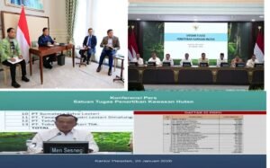 28 Perusahaan Di Aceh, Sumut dan Sumbar Dicabut Ijinnya Karena Investigasi